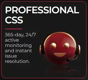 professional css